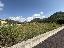 Terreno 2000 mq, zona Badia Calavena