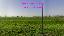 Terreno 11500 mq