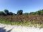 Terreno 37000 mq, zona Castiglione del Lago