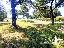 Terreno 4244 mq, zona Castiglione del Lago