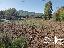 Terreno 4570 mq, zona Macchie