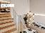 Appartamento 136 mq, soggiorno, 2 camere, zona Pistoia - Centro