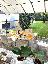 Villa 472 mq, soggiorno, 3 camere, zona Vigevano