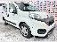 FIAT QUBO 1.3 MJT 80 CV Lounge