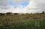 Terreno 800 mq, zona Gonars - Centro
