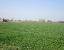 Terreno 14267 mq, zona Moglia