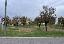 Terreno 12401 mq, zona Gonzaga
