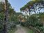 Villa 378 mq, soggiorno, 6 camere, zona Castiglione della Pescaia