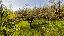 Terreno 15000 mq, zona Grole