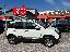FIAT Panda Cross 0.9 TwinAir Turbo S&S 4x4