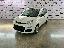 FIAT Panda 1.0 FireFly Hybrid