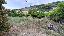 Terreno 2400 mq, zona Vallecrosia Alta