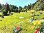 Appartamento 50 mq, soggiorno, 2 camere, zona Nevegal