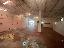 Capannone 700 mq, zona Granze - Camin