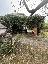 Villa 240 mq, soggiorno, 4 camere, zona Martellago