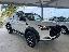 CIRELLI Cirelli 8 Pickup 2.4 Turbo