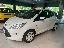 FORD Ka+ 1.2 8V 69 CV