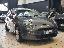 FIAT Punto 1.2 8V 5p. Easy