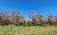 Terreno 2730 mq, zona Arba