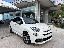 FIAT 500X 1.3 T4 150 CV DCT Sport