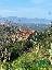 Terreno in Vendita a Messina
