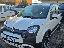 FIAT Panda 1.0 FireFly S&S Hybrid CROSS