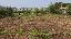 Terreno 6000 mq