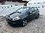 FIAT Punto Evo 1.3 Mjt 75 CV 5p. S&S Dynamic