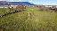 Terreno 13540 mq, zona Nove