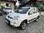 FIAT Panda 1.3 MJT S&S 4x4 Antartica