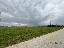 Terreno 16000 mq, zona Macchie