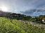 Terreno 2000 mq