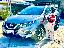 NISSAN Qashqai 1.5 dCi 115 CV N-Connecta