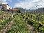 Terreno 715 mq, zona Lisignago