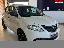 LANCIA Ypsilon 1.2 69 CV 5p. GPL Ecochic Ele.Bl