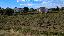 Terreno 14362 mq, zona Metaponto