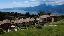 Appartamento 127 mq, 3 camere, zona San Zeno di Montagna