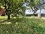 Bifamiliare 310 mq, soggiorno, 4 camere, zona Marsango