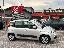 FIAT Panda 1.3 MJT 95 CV S&S Lounge