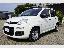 FIAT Panda 1.0 GSE S&S Hybrid Pop Van 2 p.ti