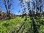 Terreno 3722 mq, zona Zevio