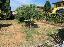 Terreno 592 mq, zona Zevio