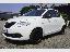 LANCIA Ypsilon 1.0 FireFly Hyb. Eco Silv.