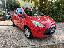 FORD Ka 1.2 8V 69 CV BUSINESS