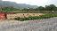 Terreno Agricolo Commerciale