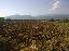 Terreno 10500 mq, zona Serre