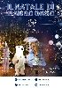 Il natale di babbo orso - animazione itinerante per le vie e