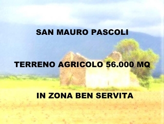 zoom immagine (Terreno 56000 mq, zona San Mauro Pascoli)
